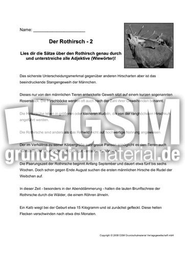 Rothirsch-Adjektive-bestimmen-2.pdf